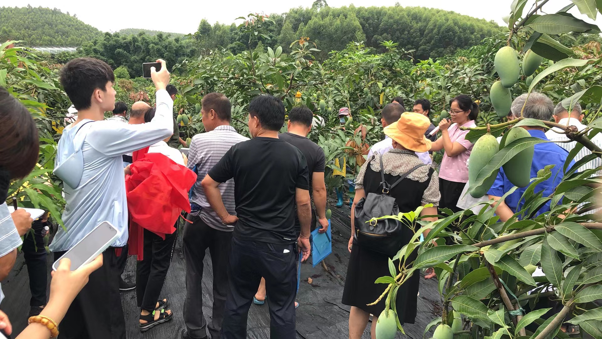罗慧-新模式